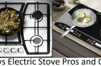 🥇Gas vs Electric Stove Pros and Cons: All You Need To Know