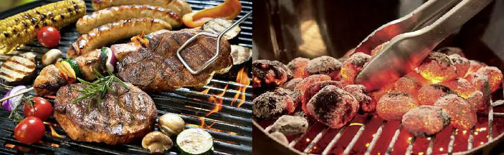 Advantages and Disadvantages of Electric and Gas Grills
