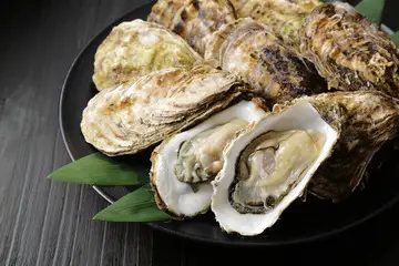 Are Oysters Halal Or Haram