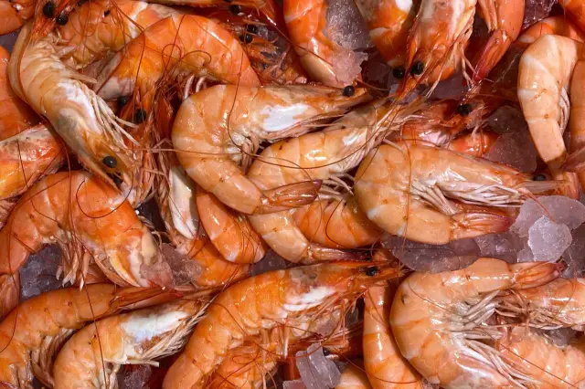 Can Muslims Eat Prawns